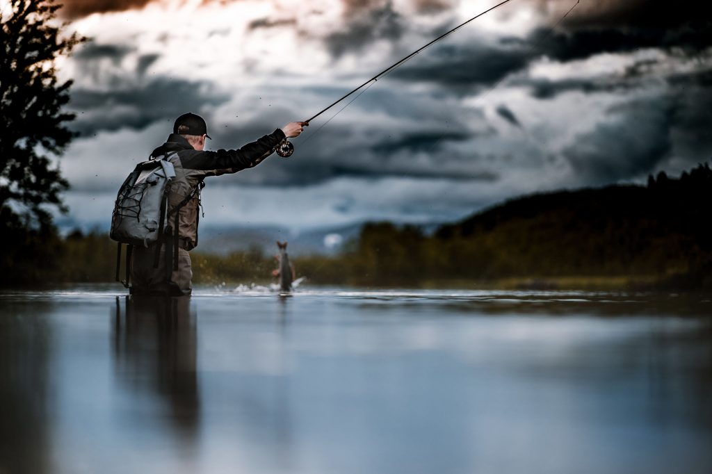 Fiske i fjällen