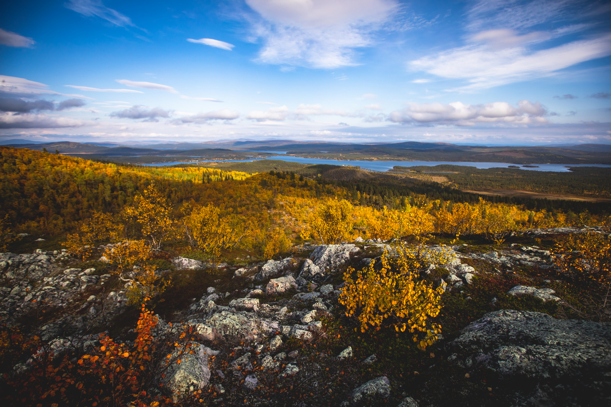 Kurravaara